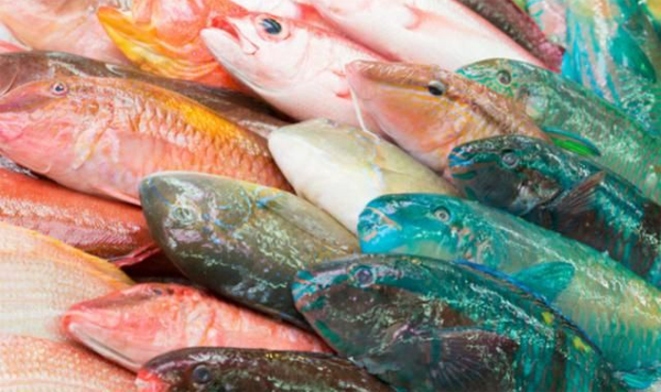 60866e96eb2f6.png 60866e96eb2f6.png