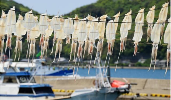 60866f3980cad.png 60866f3980cad.png