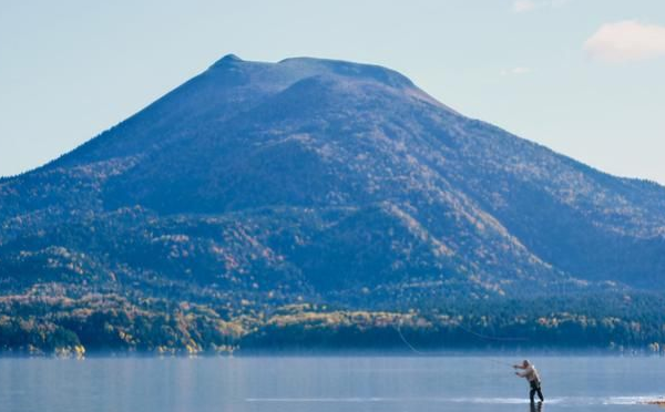 6086706f670aa.png 6086706f670aa.png