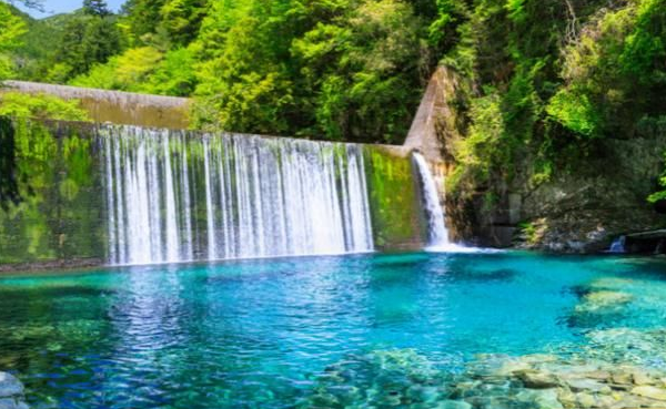 6086717c5ff2d.png 6086717c5ff2d.png