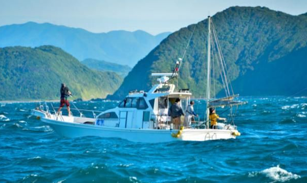 6086722ad91de.png 6086722ad91de.png