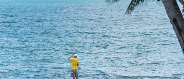 61a739f589294.png 61a739f589294.png