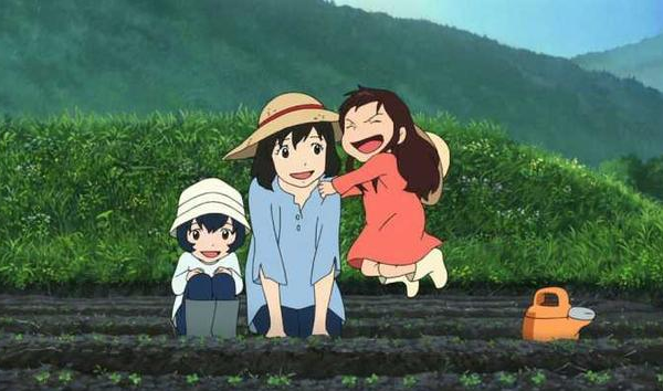 61cacfa2617ff.png 61cacfa2617ff.png