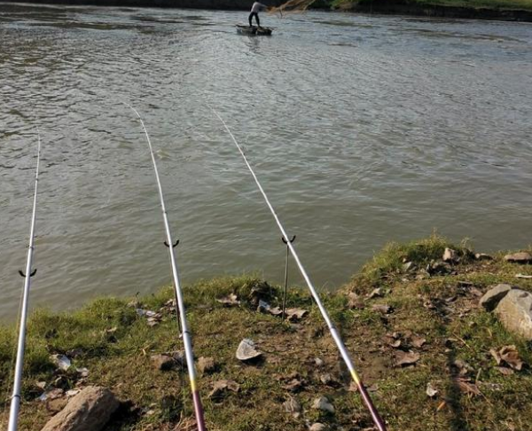 6230559538498.png 6230559538498.png