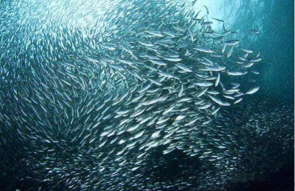 64632e0b57215.png 64632e0b57215.png