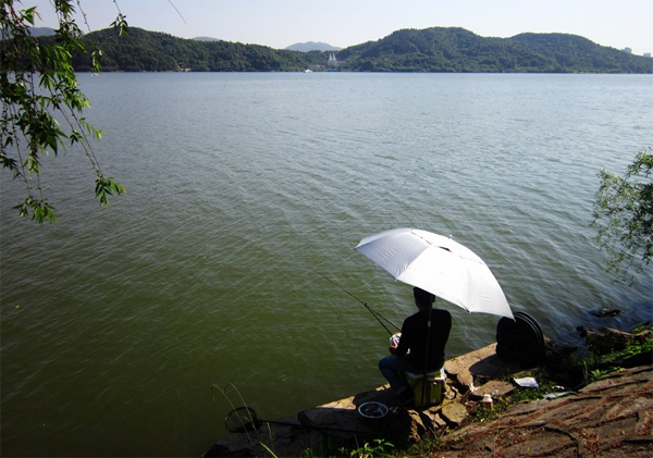 649e8f6f3df81.png 649e8f6f3df81.png