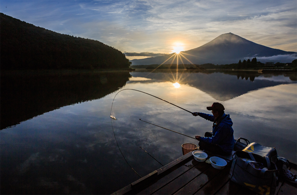 64b0fd373487b.png 64b0fd373487b.png