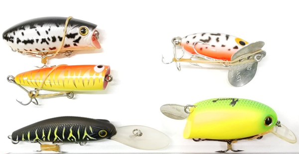 678b7278355df.png 678b7278355df.png